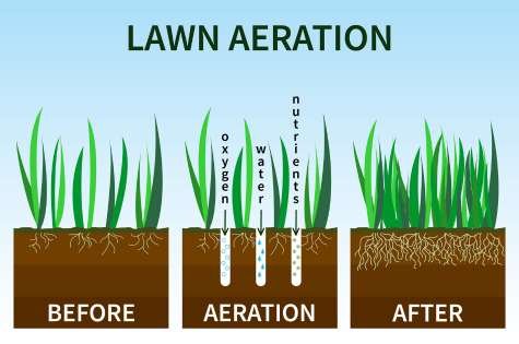 Lawn Aeration Fredericton