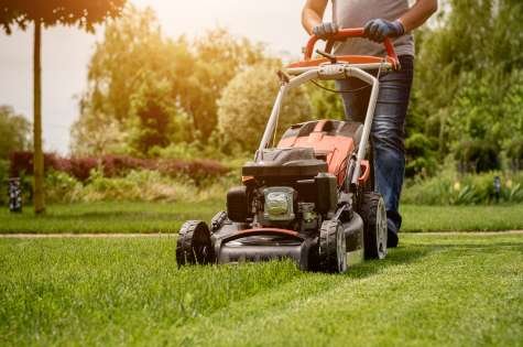 Professional lawn mowing Fredericton