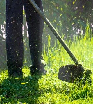 Lawn care services in Fredericton