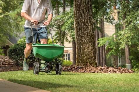 Professional lawn fertilization services Fredericton