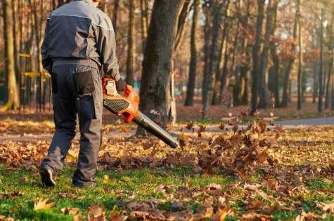 lawn cleanup Fredericton