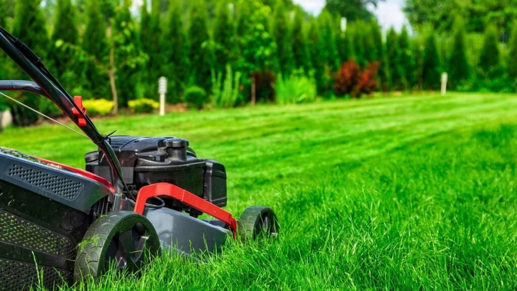Mowing Height for Healthy Lawns in New Brunswick