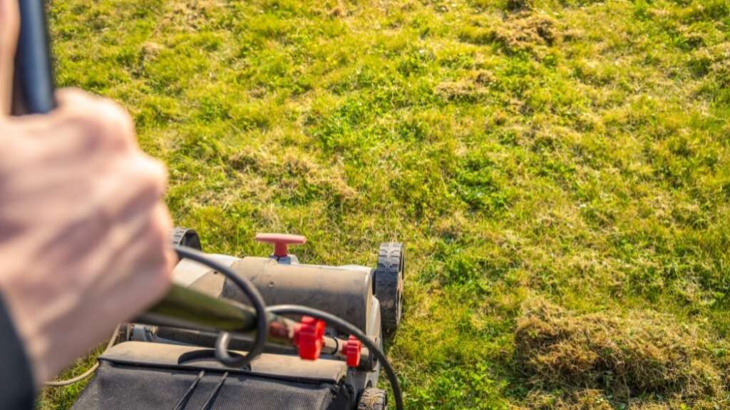 When to Aerate Your Lawn in Fredericton