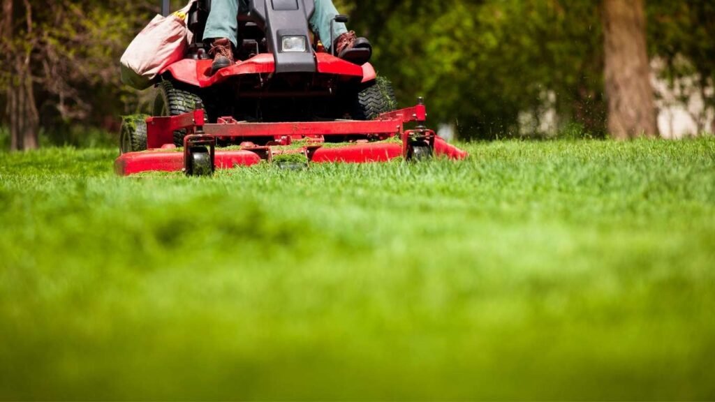 Lawn Care Mistakes to Avoid in Atlantic Canada