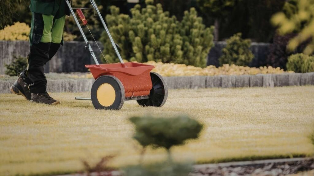 When to Fertilize After Overseeding