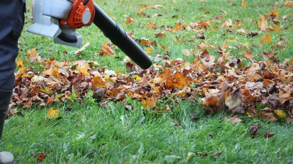 Best Time for Fall Cleanup Fredericton