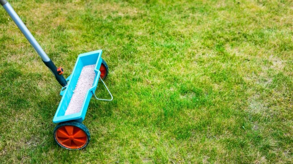 What type of fertilizer to use when overseeding your lawn