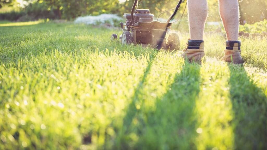 When Should You Mow New Sod for the First Time