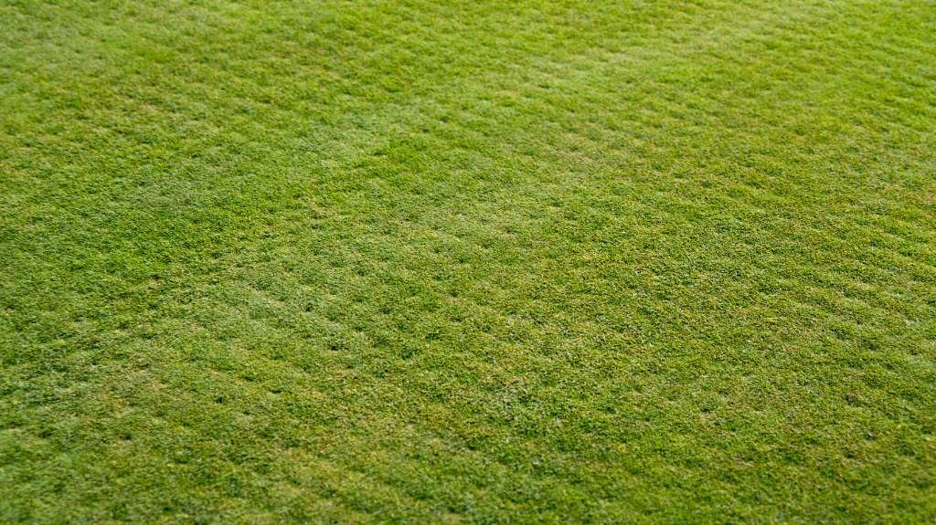 What Does Lawn Aeration Do?