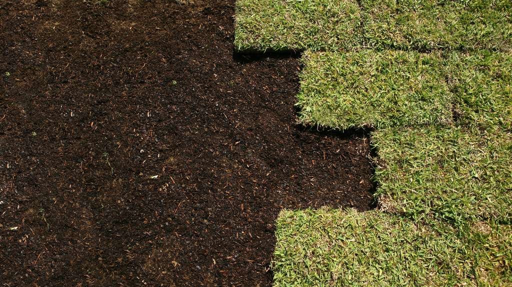 How to Prepare for Sod Installation in Fredericton