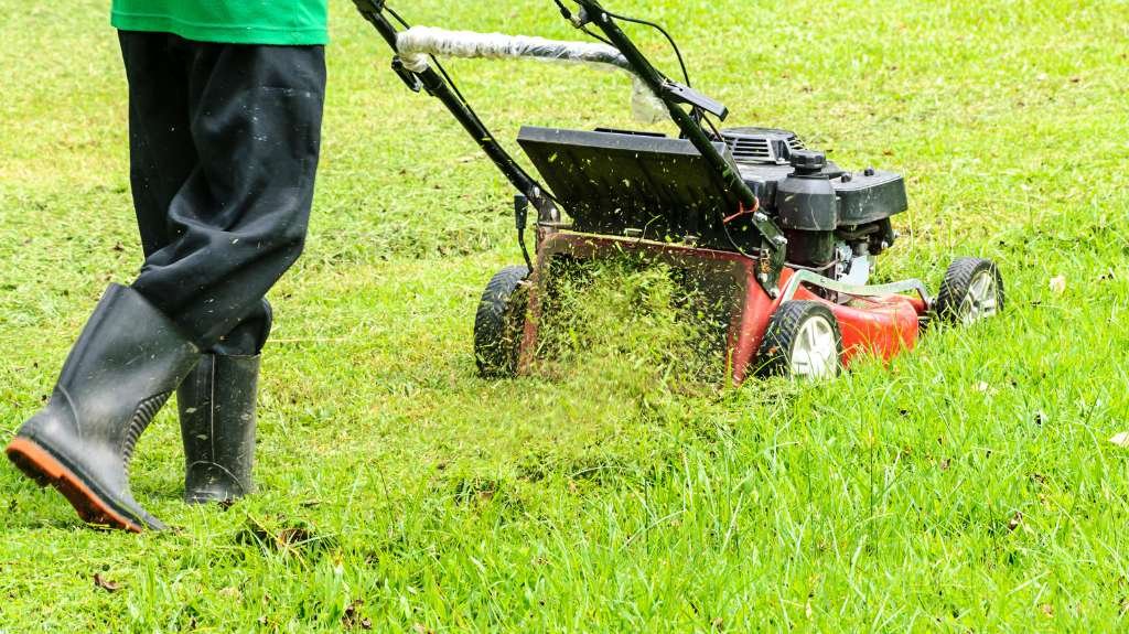 When to Mow Lawn after Aeration and Overseeding 