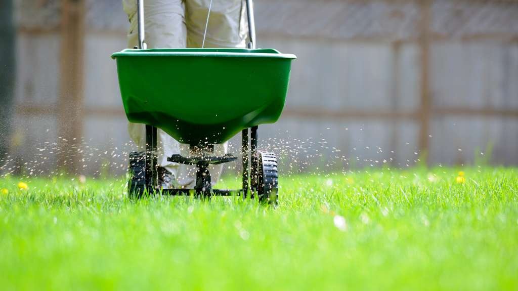 When Should the Lawn Get Its Final Fall Fertilizer?
